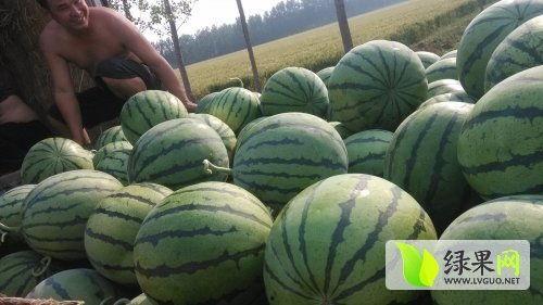 最新热门瓜,揭秘明星背后的惊人真相！