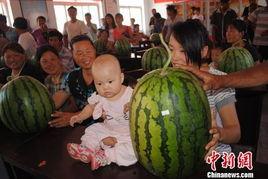 河北今日吃瓜新闻视频,视频揭秘事件真相，网友热议不断