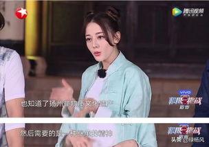 挑战澄清明星网红,揭秘明星网红背后的挑战与成长之路