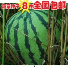 瓜地热门,揭秘瓜界热点事件背后的真相