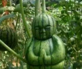 辽源吃瓜爆料事件真相揭秘,揭秘背后真相与真相背后的真相