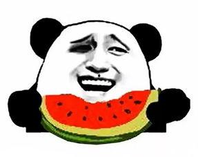 吃瓜群众小老黑是谁扮演的,吃瓜群众小老黑扮演者是谁？