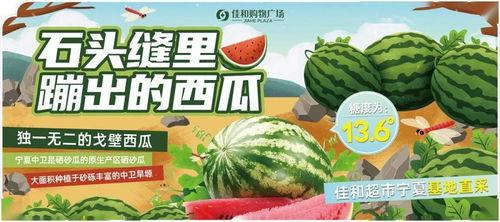 热门大瓜17吃瓜,17吃瓜背后的真相与内幕