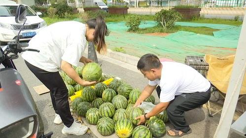 黑瓜爆料吃瓜,揭秘娱乐圈吃瓜背后的真相