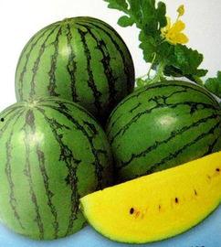 韩圈热门瓜,揭秘热门瓜背后的真相与影响