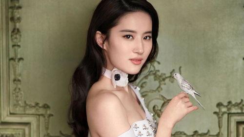 广西顶流明星网红,闪耀南国，网络新势力领军者