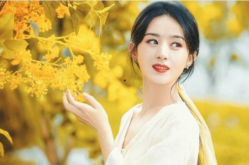 广西顶流明星网红,闪耀南国，网络新势力领军者