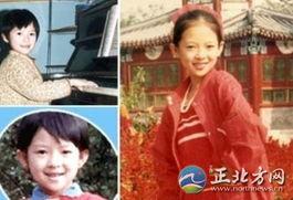 国内的明星网红歌,网红歌坛风云录