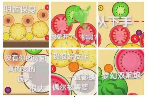 泡泡吃瓜热门大瓜,热门大瓜背后的真相与内幕