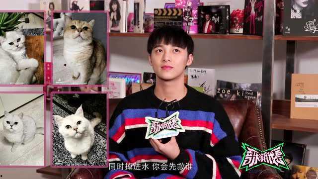 澳洲明星网红直播视频,时尚生活与潮流风向标