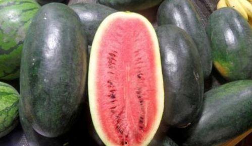 张露文黑料吃瓜,揭秘娱乐圈背后的真相