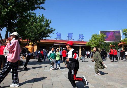 同城热门吃瓜小能手小说,揭秘同城热门八卦风云录