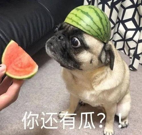 蛋哥吃瓜爆料图片高清大图,高清大图解析吃瓜事件幕后真相