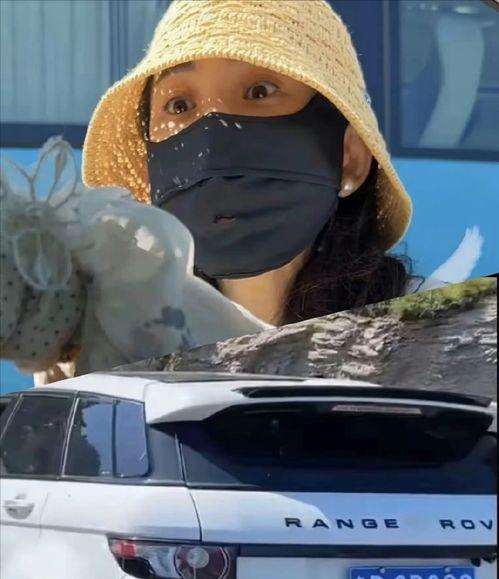 黑帽子事件吃瓜,揭秘网络黑客的暗黑世界