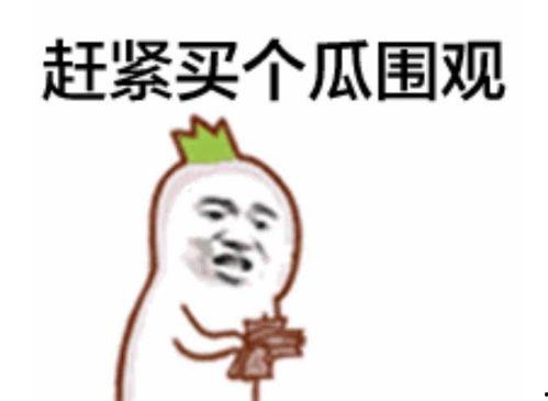 17吃瓜群众黑料,真相与争议并存