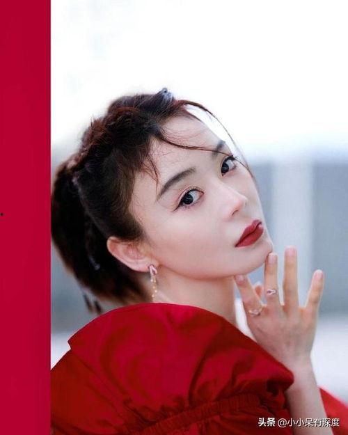 明星网红为啥不结婚,单身背后的秘密解析