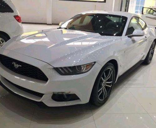 瓜车成了热门车,揭秘热门车背后的瓜界传奇