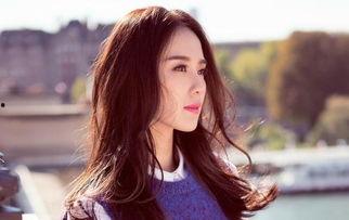 全网呼叫明星网红,全网明星网红风采大集结