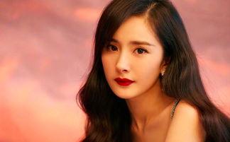 全网呼叫明星网红,全网明星网红风采大集结