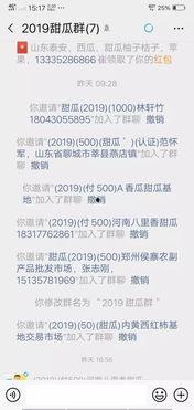 今日海南二瓜价格走势,涨跌互现，市场动态解析