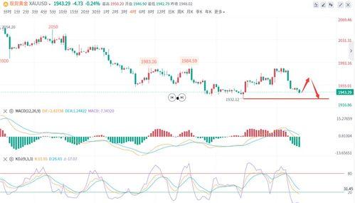 今日海南二瓜价格走势,涨跌互现，市场动态解析