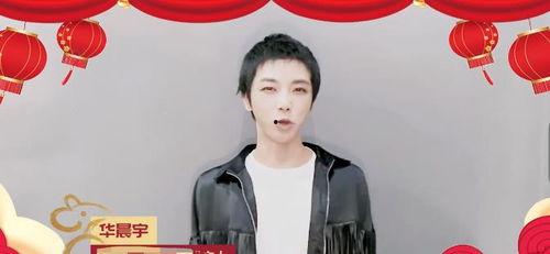 明星网红滤镜直播视频,直播视频中的美丽与真实