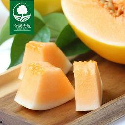 今日蜜瓜报价最新行情,今日最新报价一览