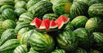 最新吃瓜爆料河北新闻网,最新吃瓜事件揭秘