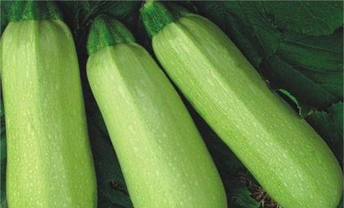 热门网红吃瓜网站,热门事件背后的真相与笑料