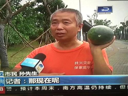 最近一周热门吃瓜事件是真的吗,真假难辨的吃瓜盛宴