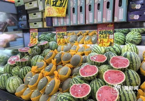 今日麒麟瓜产地价格,今日行情一览”