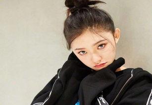 大明星网红熊,大明星网红熊的璀璨星途