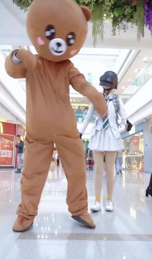 大明星网红熊,大明星网红熊的璀璨星途