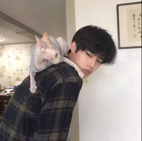 热门吃瓜头像男生霸气,潮流头像背后的时尚态度