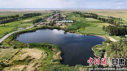 今日瓜州一水,探寻千年古韵的绿色奇迹