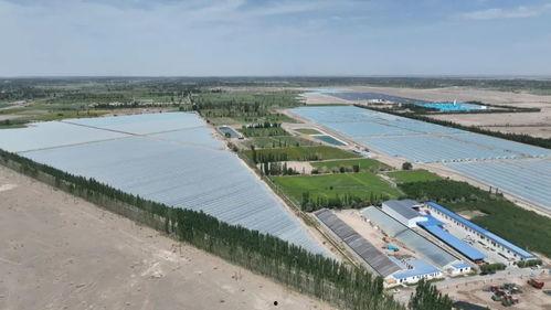 今日瓜州一水,探寻千年古韵的绿色奇迹