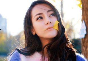 明星网红怎么样,揭秘网络红人的崛起与影响力