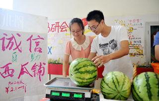扬州热门瓜,探寻扬州热门瓜类的独特魅力