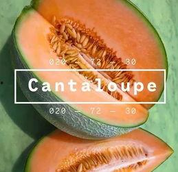 小蜜瓜今日价格表,今日市场行情一览