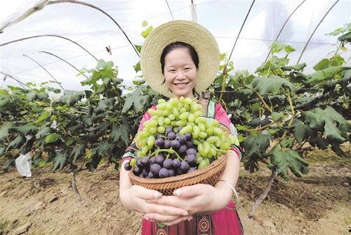 湘西永顺县黑妹吃八月瓜,黑妹与八月瓜的甜蜜邂逅