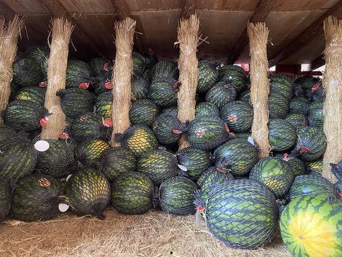 2024吃瓜热门,盘点娱乐圈最热辣话题与幕后真相