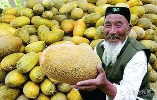 郑州哈密瓜今日行情,品质优良，价格稳定，市场需求旺盛