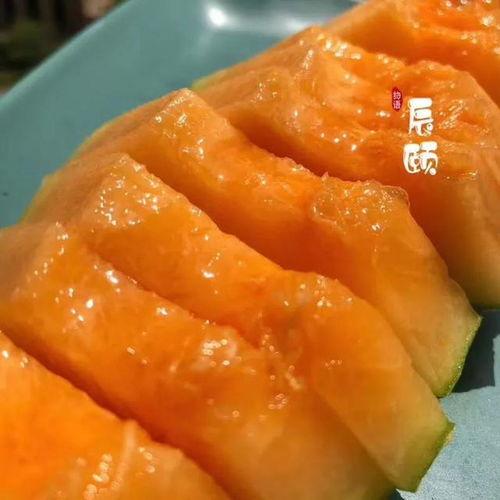 蜜瓜热门音乐,夏日炎炎里的清凉音乐之旅