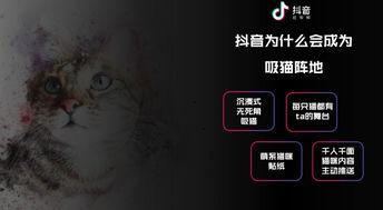 猫的次元吃瓜抖音爆料