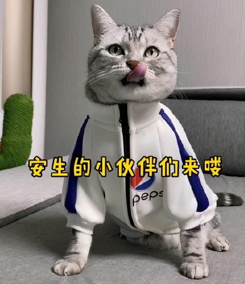 猫的次元吃瓜抖音爆料
