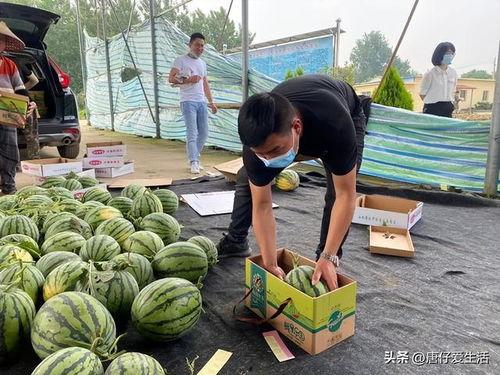 什么平台有热门大瓜卖,大瓜盛宴，一网打尽！
