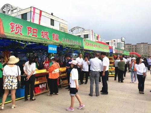 瓜州县今日现场直播,全景展现魅力瓜州，直播带你领略丝路风情