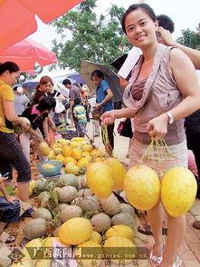 今日青秀区最新瓜,揭秘今日热点事件背后的真相
