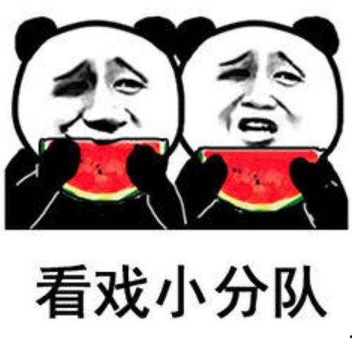 今日吃瓜表情包图片,笑料横生，趣味十足
