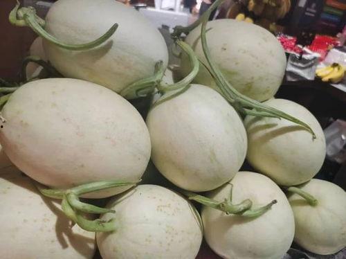 今日海南玉菇瓜价,市场行情一览